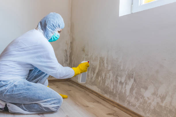 Licensed Commercial Mold Remediation service in Springfield, OR - WQB Mold Removal