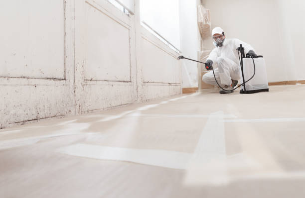 24/7 Emergency Commercial Mold Remediation experts in Springfield, OR