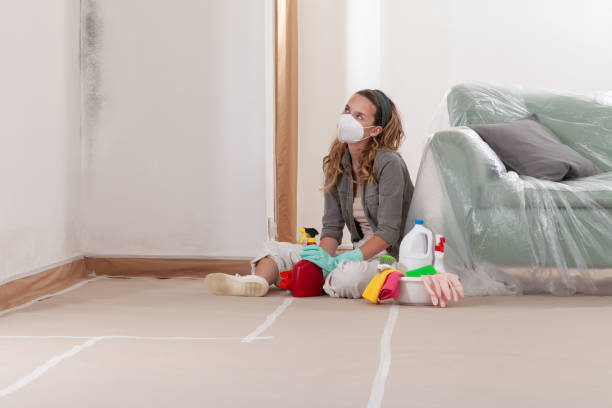 Reliable Commercial Mold Remediation contractor in Springfield, OR by WQB Mold Removal