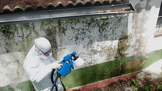 Top rated local Commercial Mold Remediation specialists in Springfield, OR